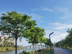 -万绿园