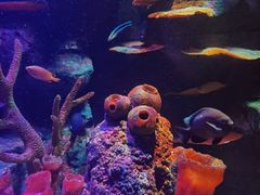 -沈阳海洋探索中心