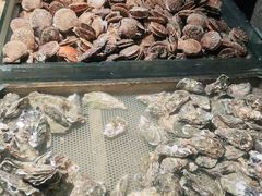 -永红源啤酒·烧烤·海鲜·大排档(青特城店)