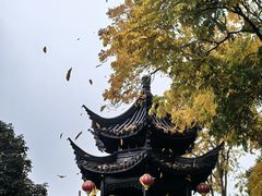 -丝绸小镇荻港古村