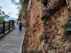 -羚羊峡古栈道森林公园