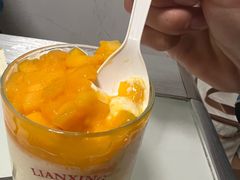 -连杏双皮奶(长沙国金店)