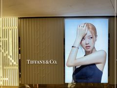 -Tiffany & Co.蒂芙尼
(广州太古汇店)