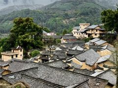 -杨家堂村