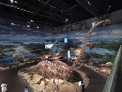 -自贡恐龙博物馆