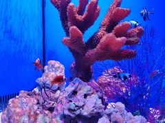 -多彩贵州城极地海洋世界