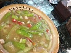 白油丝瓜-青城甲(青城山店)