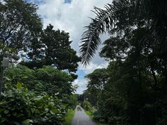 -武吉知马自然保护区