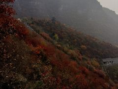 -狼牙山风景区
