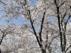 -龙美术馆(西岸馆)
