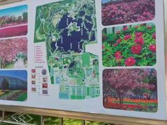 -石家庄市植物园