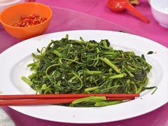 -新峰肉骨茶