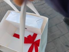 -BLACKSWAN黑天鹅(环球店)