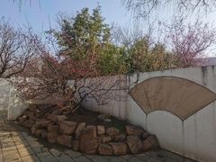 -石家庄市植物园