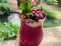 -Fern Forest Cafe