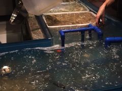 -星伦多自助料理(华润万象城店)