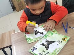 -上海昆虫博物馆