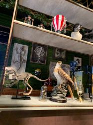 -奇幻丛林(佛罗伦萨小镇店)