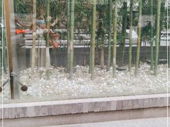 -成都钓鱼台精品酒店-品聚·成都餐厅