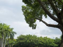 -白鹭洲公园