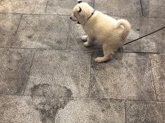 -INLOVE KTV(水晶城店)