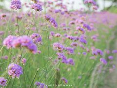 -杭州城北体育公园