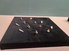-长沙简牍博物馆