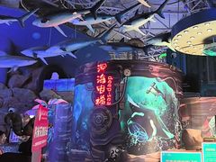 -烟台海昌鲸鲨海洋公园