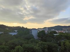 -福道