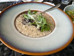 -bluefrog蓝蛙(皇庭广场店)