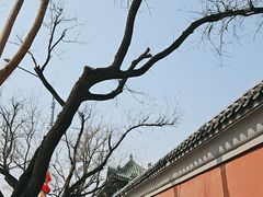 -国家图书馆·古籍馆