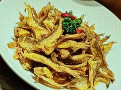 -凤霞海鲜大排档·天津菜(抗震路店)