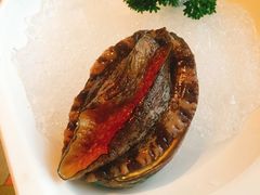 七头鲍鱼-甘尼仕印度餐厅爵士酒吧(阳春巷店)