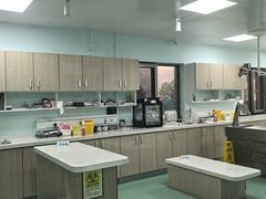 -北京观赏动物医院·24小时大型综合·猫专科·异宠专科
