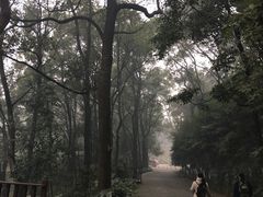 -重庆抗战遗址博物馆
