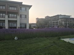 -秦皇岛阿尔卡迪亚滨海度假酒店