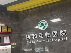 -瑞鹏瑞爱宠物医院·全科·猫科·血液透析中心(龙头寺店)