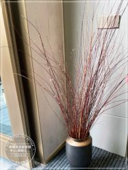 -新蝶变皮肤管理中心