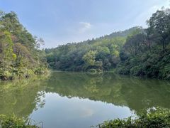 -番禺大夫山森林公园