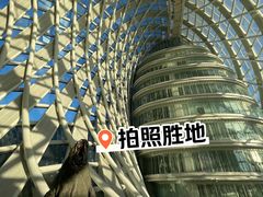 -凤凰中心