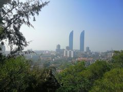 世贸大厦-忆夏爽黑仔漳州四果汤(顶澳仔猫街店)