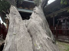 -晋祠博物馆