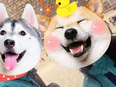 -乔波室内滑雪场