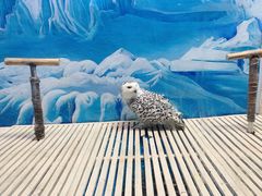 -成都浩海立方海洋公园