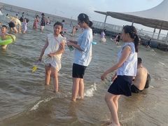 -碧海金沙