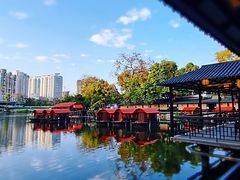 -侨美·唐荔园·40年地道粤菜