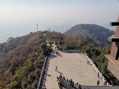 -杭州半山国家森林公园