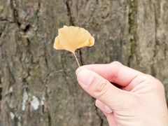 -天津盘山风景名胜区