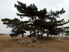 -老虎石海上公园