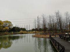 -梁鸿国家湿地公园